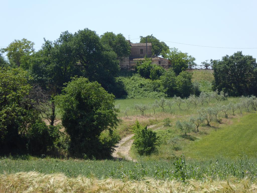 Apice Pietre Di Fiume 빌라 외부 사진